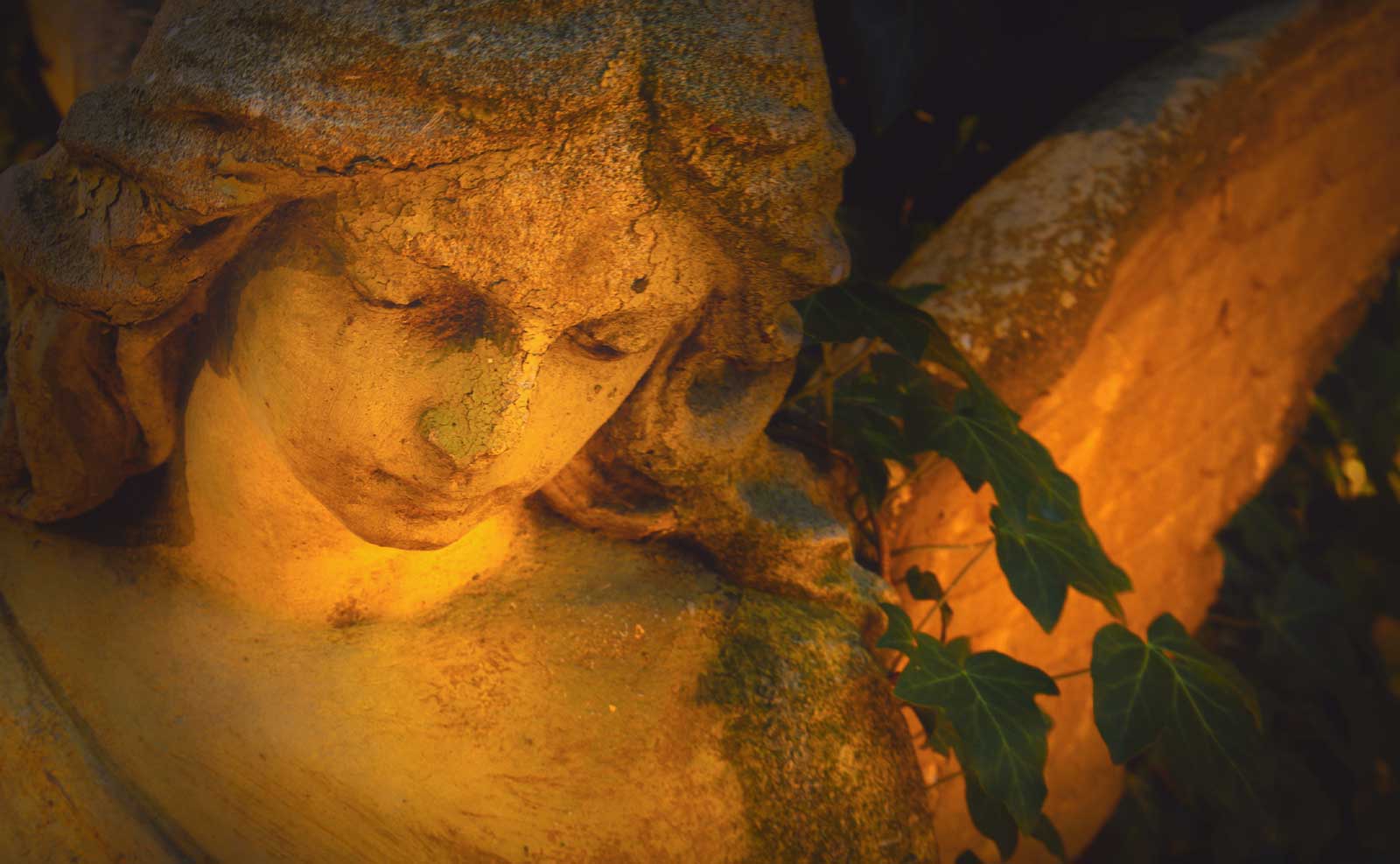 Grabeinfassungen für Einzelgräber, Doppelgräber, Urnengräber etc.