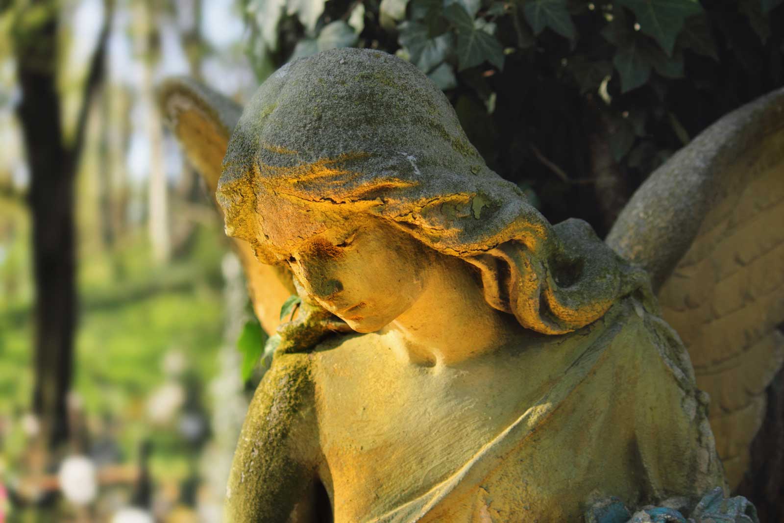 Gruft-Neubau und -Sanierung